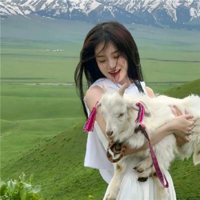 我为毛毛虫停车