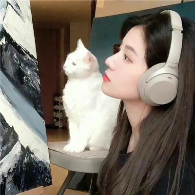 暗影迷踪